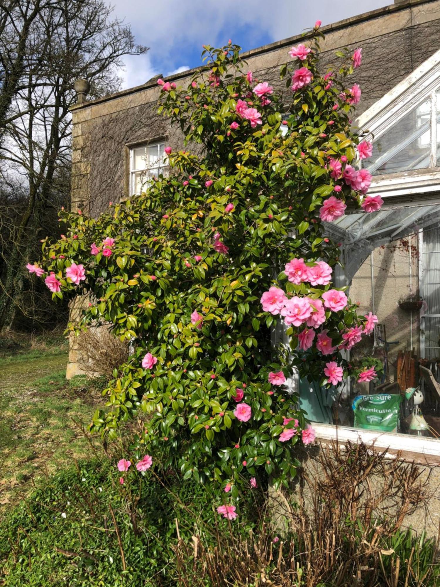 بوليماني O'Harabrook Country House المظهر الخارجي الصورة