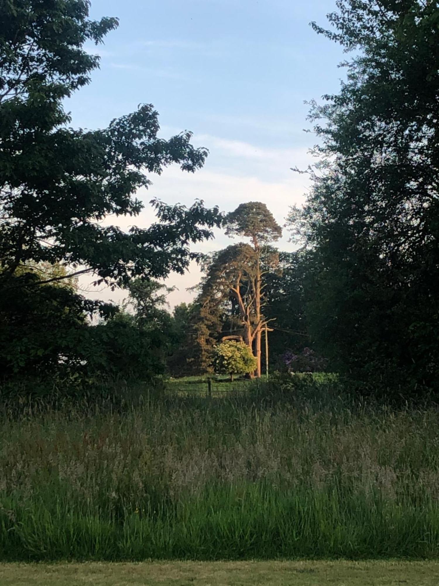 بوليماني O'Harabrook Country House المظهر الخارجي الصورة